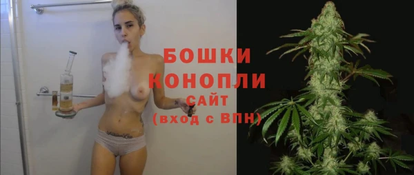 соль ск Бронницы